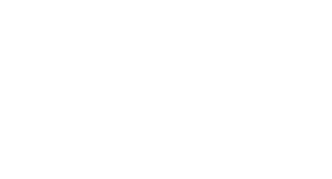 WordPress-logotype-alternative-white